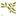 Olive Garden logo